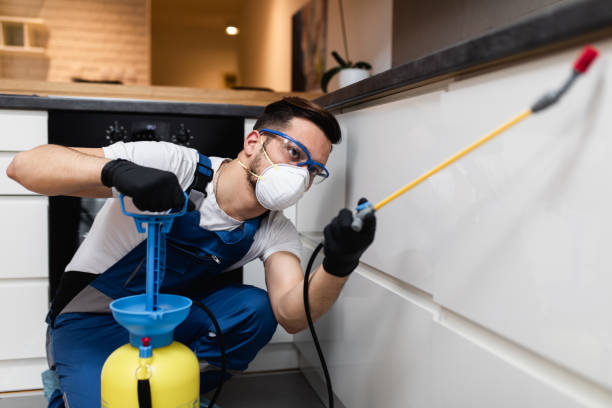 Professional Pest Control in Speedway, IN